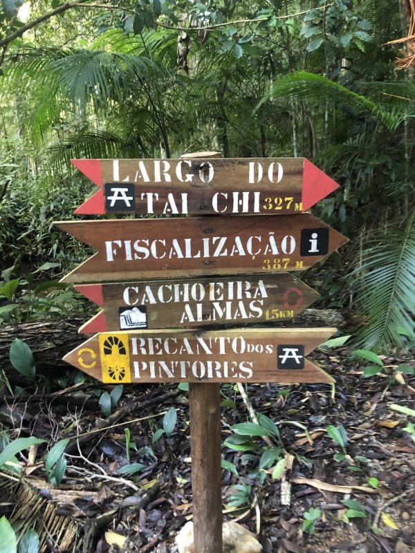 Visite o Parque Nacional da Tijuca