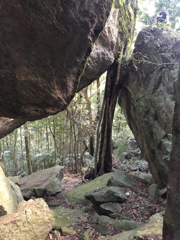 Visite o Parque Nacional da Tijuca