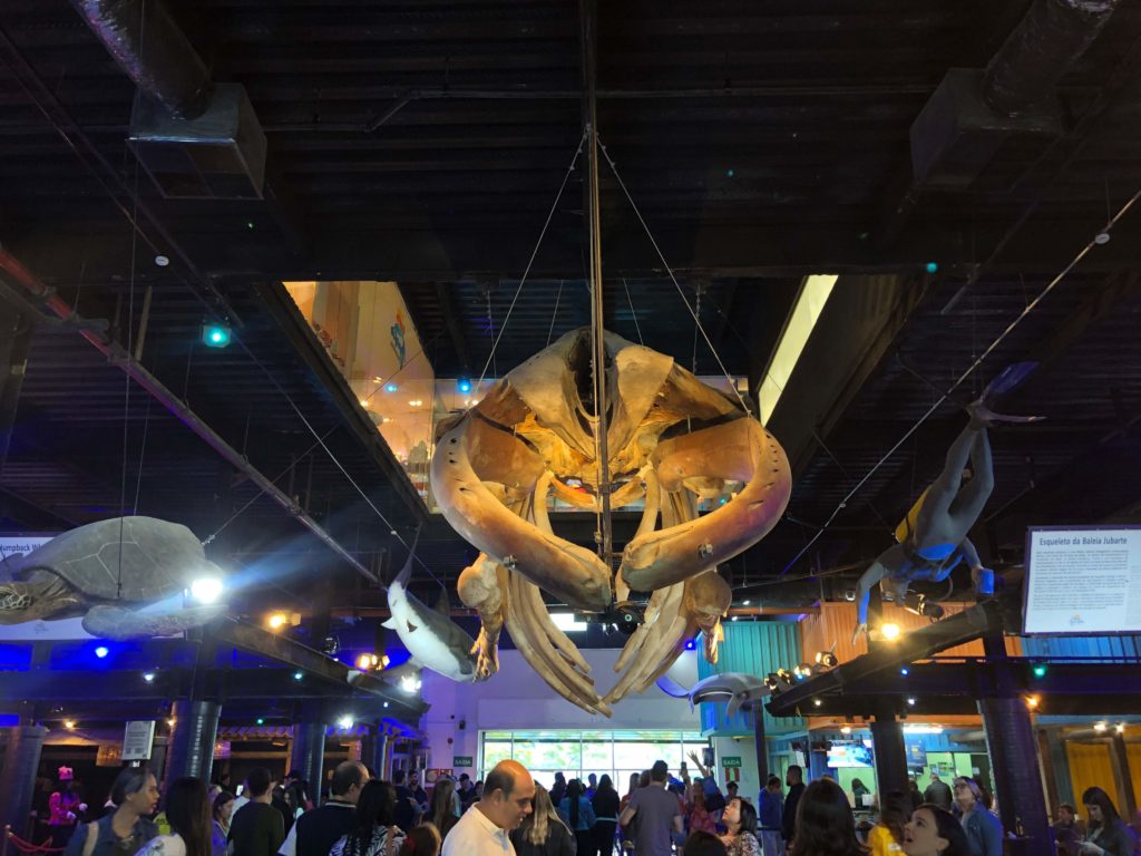 Visita ao AquaRio - o maior aquário da América do Sul